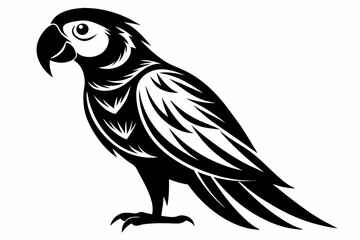 macaw silhouette line art vector illustration