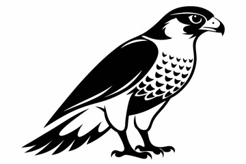 Fototapeta premium falcon silhouette line art vector illustration