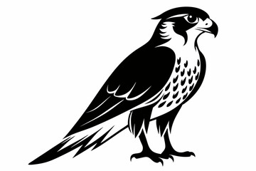 Fototapeta premium falcon silhouette line art vector illustration