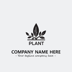 Plant illustration for logo company black and white vector image

