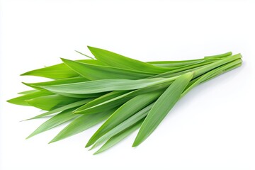 Fresh pandan leaves isolated on white background 