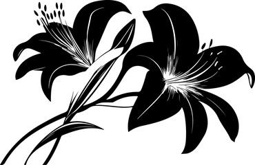 Stylized Black Lily Illustration floral desing