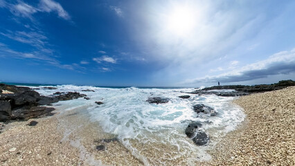 Big Island Hawaii and the Ocean life with Coral pieces along the beach 