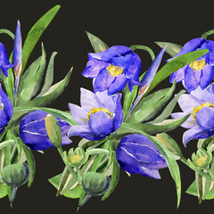 Nahtloses Muster aus Wildblumen. Aquarell. Schleifmittel auf weißem und farbigem Hintergrund.