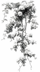 Monochrome Floral Illustration