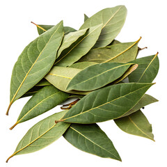 Bay leaves in pile isolated on transparent background png