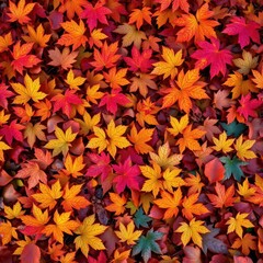 Fototapeta premium Crisp autumn leaves in vibrant hues, covering ground, autumnleaves, woodland, birch