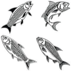 Bundle fish line art and illustrator eps