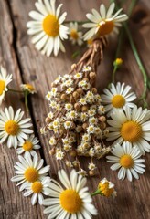Obraz premium Dried chamomile sprigs on rustic wooden surface, surrounded by fresh chamomile flowers, detail, daisy, dried flowers