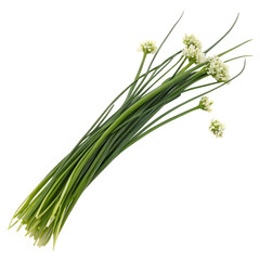 Fototapeta premium Fresh chives with long stems isolated on transparent background png