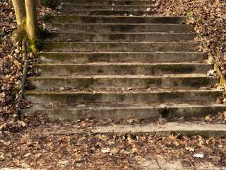 Old, moss-covered concrete stairs in a forest setting, surrounded by dry leaves. Symbol of decay,...