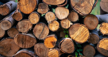 Stacked wooden logs texture background, natural timber pile close up showing cut tree trunks,...