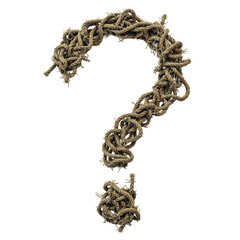 Intriguing question mark made from tangled rope symbolizing curiosity and mystery Perfect for concept and background designs