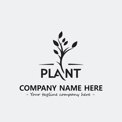 Plant illustration for logo company black and white vector image
