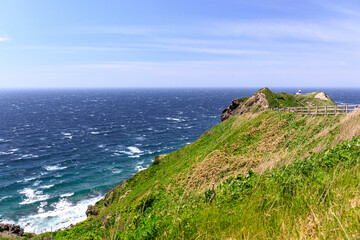 北海道積丹町、神威岬灯台に続く遊歩道【5月】