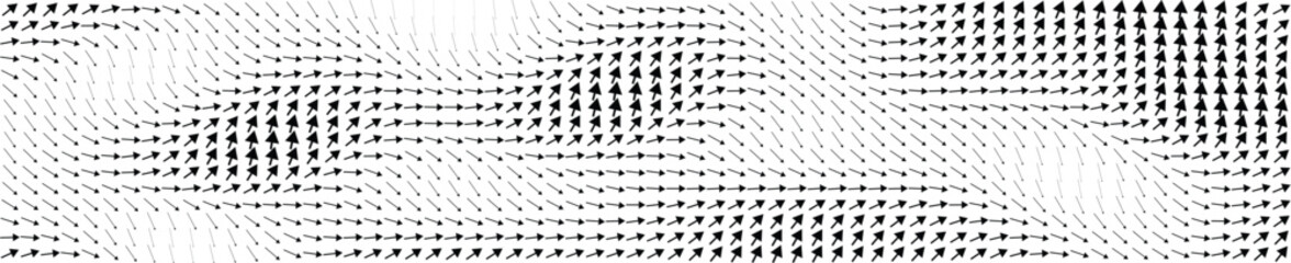 Vector Field