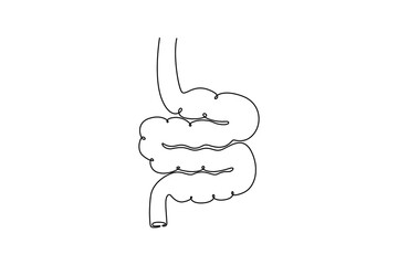 Small Intestine. parts of the body concept. Single line draw design. Vector graphic illustration