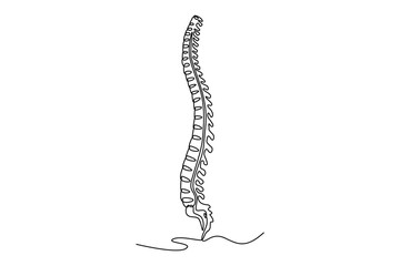 Spinal Cord. parts of the body concept. Single line draw design. Vector graphic illustration
