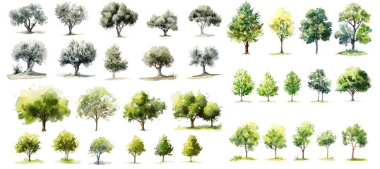 set of drawing trees