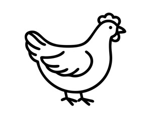 Fototapeta premium vector illustration of a chicken