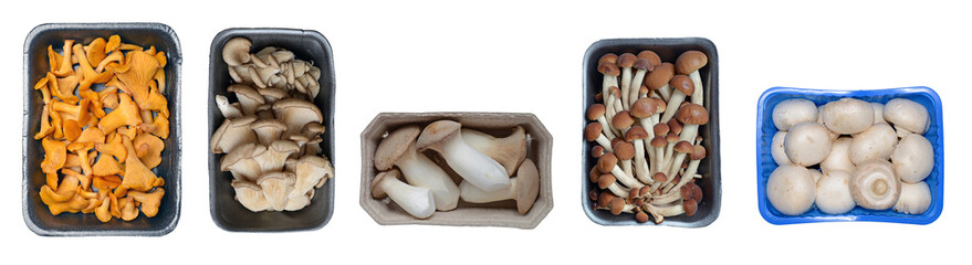 Set Mushrooms in a box isolated on a white background