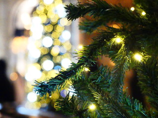 Christmas lights trees night