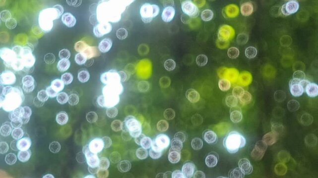green leaf lush foliage with shiny bubble lights natural texture bokeh background