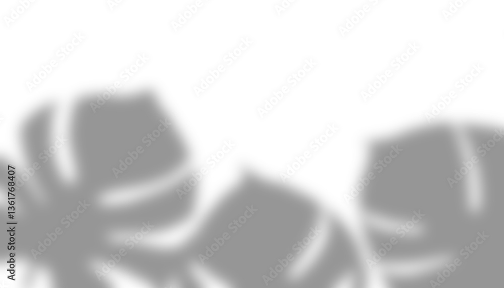 Aufkleber transparent overlay shadow of monstera leaves creating a realistic effect