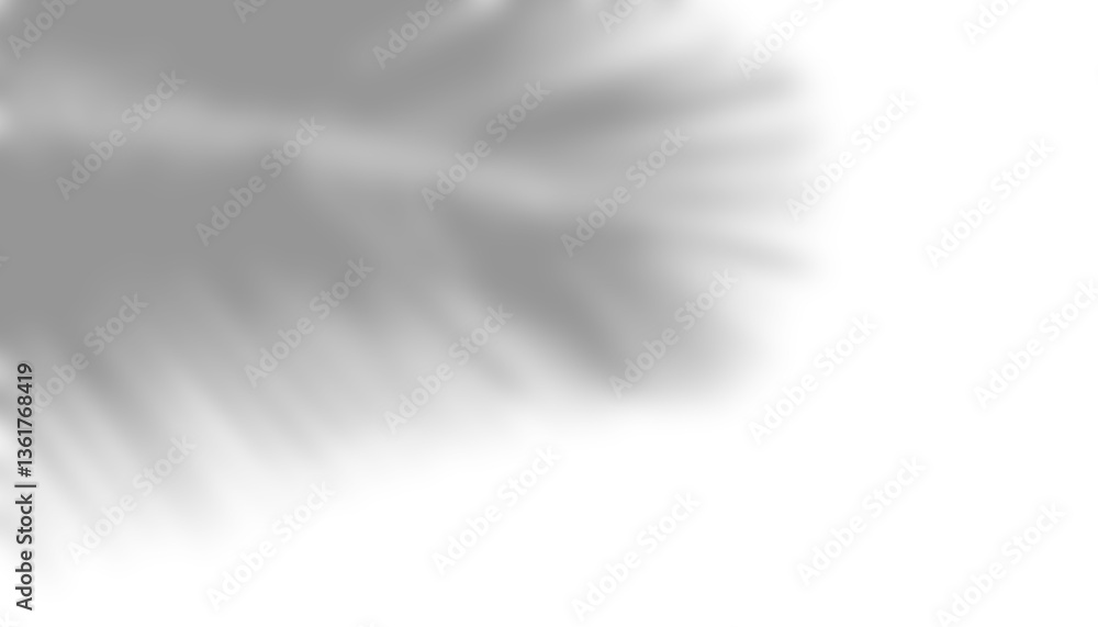 Poster realistic transparent shadow from palm leaves overlay on transparent background