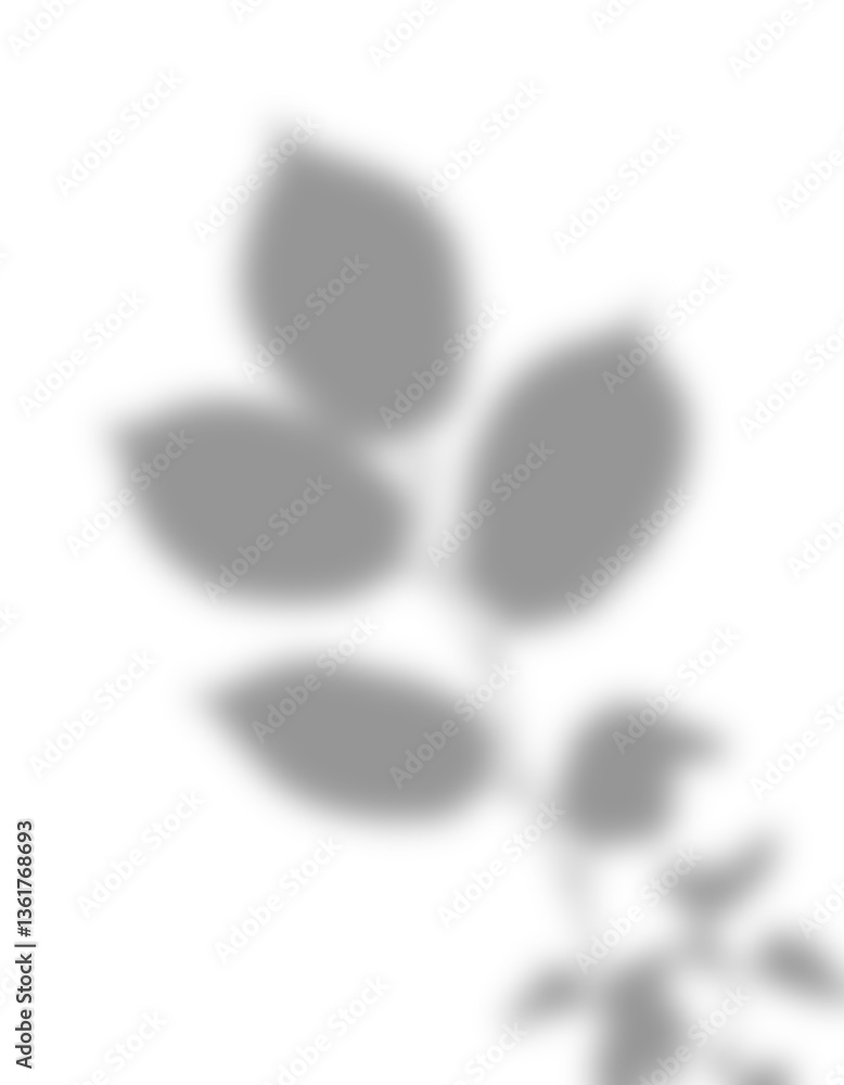 Poster Transparent overlay shadow of branch with leaves creating a realistic effect