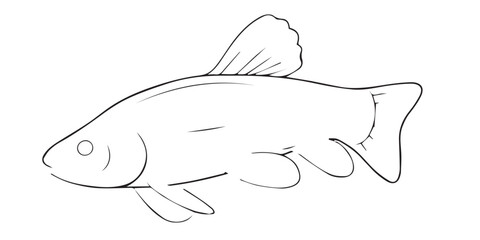 Vector illustration of a black silhouette trout. Isolated white background. Icon fish trout side view profile.EPS 10