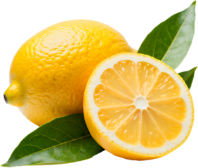 Distorted Vertical Lines with Faint Shapes and Transparent Background