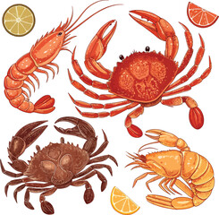 Crab Seafood Vector Set Illustration for Culinary Design