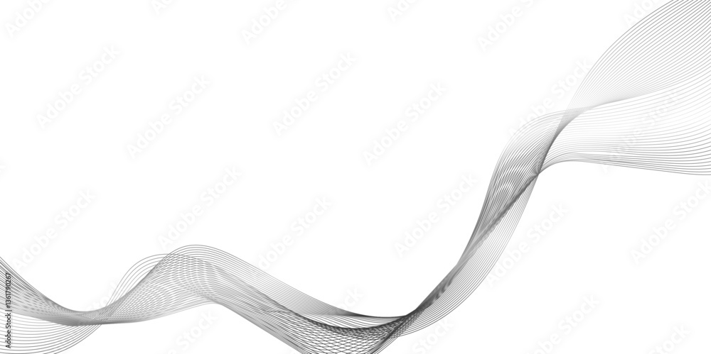 Poster abstract background with wave line, black gradient curve shape isolated on white background, a drawi