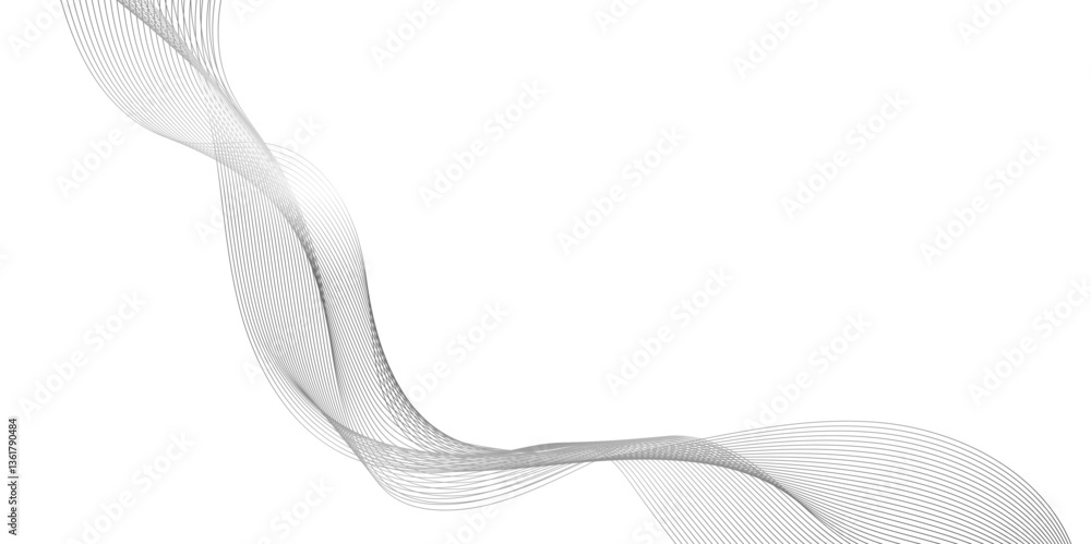 Poster abstract background with wave line, black gradient curve shape isolated on white background, a drawi