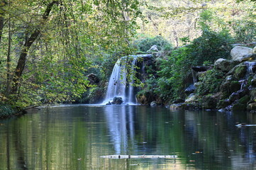Petite cascade dans une forêt
