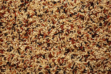 Organic Dry Asian Wild Rice, top view.