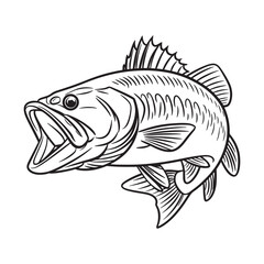 Fototapeta premium Vintage bass fish line art vector illustration isolated on white background