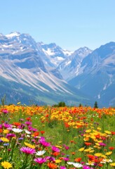 Obraz premium Vibrant wildflowers carpet a meadow, majestic mountains rise in the distance, spring, background