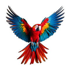 Obraz premium A colorful parrot with wings spread wide, mid-flight