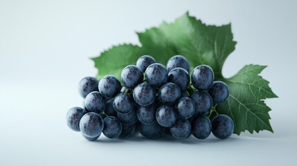 Fototapeta premium Fresh dark grapes, studio shot, on white background, for food presentation, healthy eating