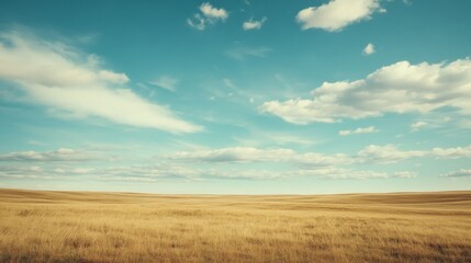 Obraz premium Under a vivid sky, a vast golden field extends indefinitely, embodying the freedom and simplicity of untouched natural landscapes.