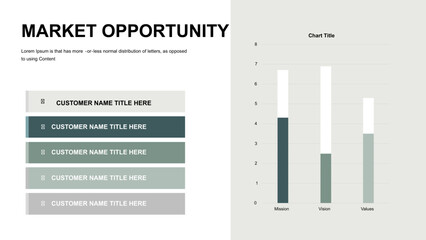 Market Opportunity Analysis Presentation