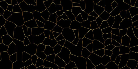 Decorative Earthquake Vector Illustration with Light Line and Destroyed Structure

