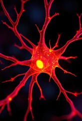 Microscopic view of a firing neuron, axon, dendrites, synapses, electrophysiology, electrical signal