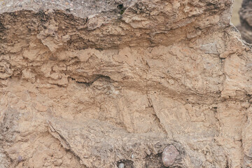Brown limestone or sandstone rock natural surface