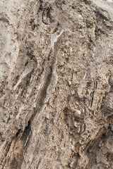 Brown limestone or sandstone rock natural surface