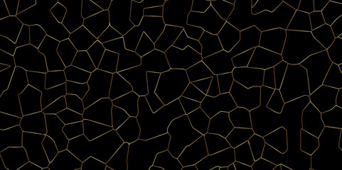 Abstract Fracture Pattern Illustration with Distressed Stone and Black Cement

