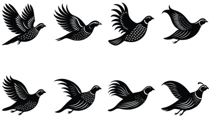 Quail Bird Vector Shilhouette Bundle Set Collection