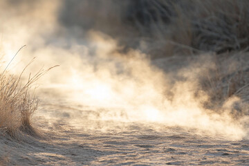 Fototapeta premium Close-up view of steam vents in a geothermal power plant at sunrise revealing natural steam escaping from the ground